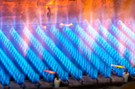 Ashcott gas fired boilers